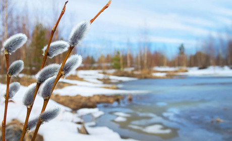 Якою буде погода на Гадяччині у перший тиждень весни