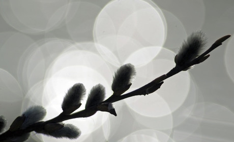 Погода у Старокостянтинові з 1 по 7 березня: яким буде перший тиждень весни