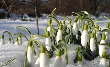 Головні зміни березня: підвищення пенсій, перехід на літній час та вакцинація в "Дії"