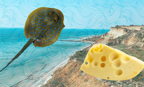 Риба, сир, сауна. Куди поїхати до українського моря на вихідні 8 березня