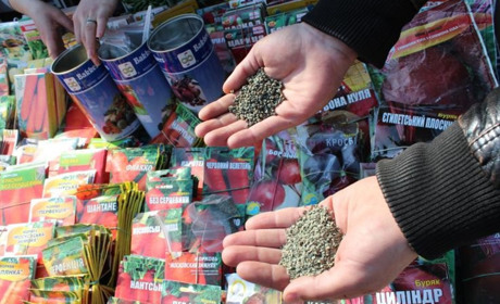 Що варто знати гадячанам при покупці насіння овочевих, баштанних культур та садівного матеріалу