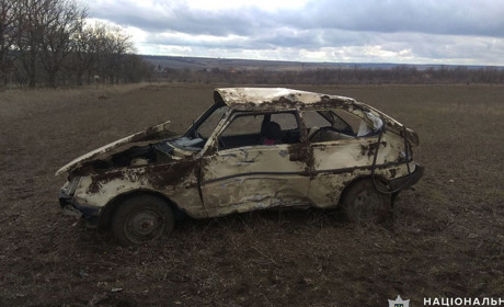У Волноваському районі автівка влетіла у дерево: водія доправили у реанімацію