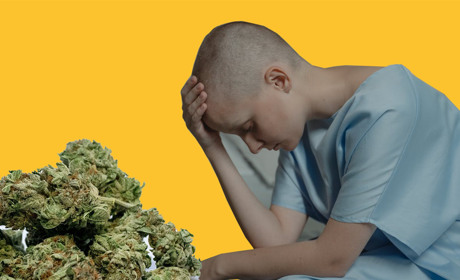 Що думають гадячани про медичний канабіс та кому він може допомогти