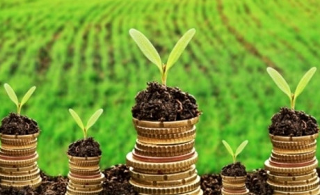 Для звірки даних щодо плати за землю Буковинці можуть звертатись до податкової служби