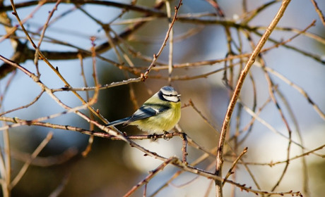 Погода у Старокостянтинові на 15-21 березня: зима не спішить відступати
