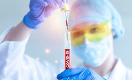 COVID-19 на Гадяччині: за добу виявили 20 нових випадків