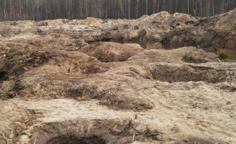 На Сарненщині провели ще чотири бурштинові аукціони: хто отримав дозвіл на видобуток