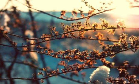 Прогноз погоди на тиждень: коли очікувати потепління