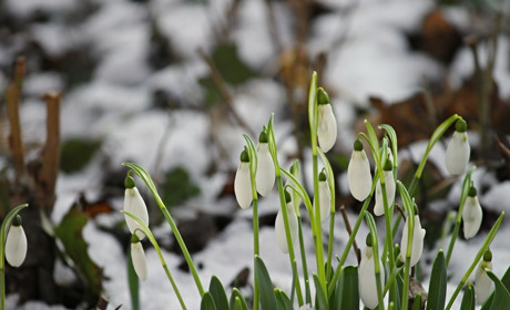 Погода у Старокостянтинові з 22 по 28 березня: опади і вітер додадуть дискомфорту