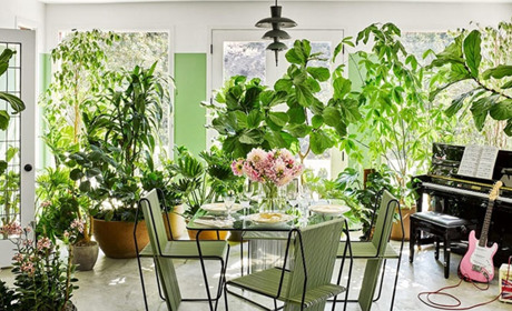 Домашні джунглі: 5 величезних вазонів, що прикрасять будь-який інтер'єр