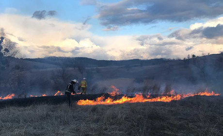 Знову почали палити траву. Цього разу в селі Онацьки Ржищівської ОТГ
