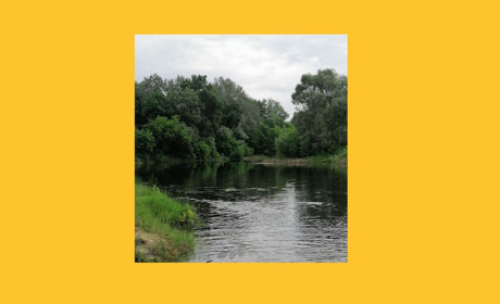 Чому важливі водні ресурси та метеорологічні дослідження. Розповідає Марина Карфідова