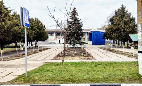 У Лазурному на Херсонщині висадили 40 садженців сакури. Ні, не депутати — просто небайдужі мешканці