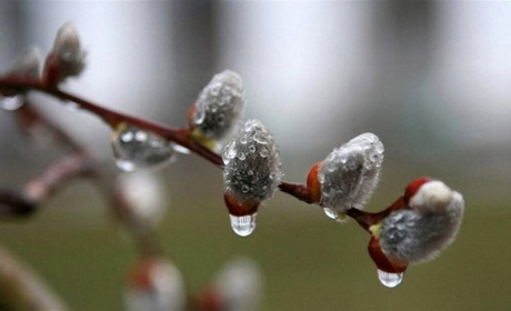 Прогноз погоди на тиждень: опади та температурні гойдалки