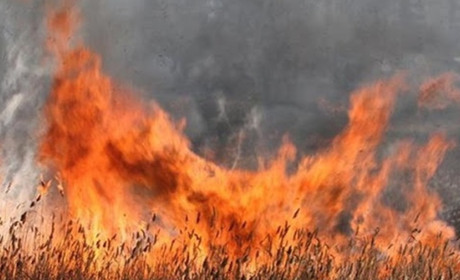 Орендарям заборонили випалювати залишки сухої рослинності