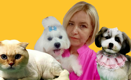 У Гадяч приїздить майстриня грумінгу Ірина Чистікова. Відео