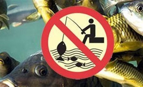 На водних об’єктах Полтавщини починається весняно-літній нерест