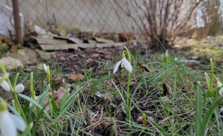 Квітневі зміни: реформи, іспити, пенсія, пологи