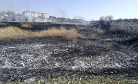 Вандали знову підпалили траву: постраждали молоді дерева, димом тягне у бік міста