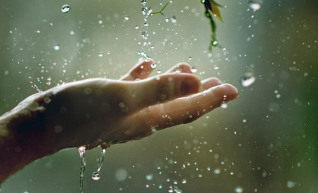 Погода на Кагарличчині та Ржищівщині з 5 по 11 квітня