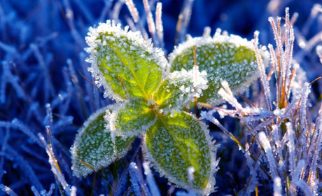 Квітневі морози, дощі та потепління: яку погоду очікувати цього тижня гадячанам