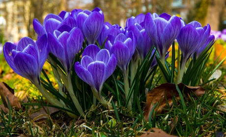 Погода у Старокостянтинові з 5 по 11 квітня: вітер, майже штормовий, опади і туман