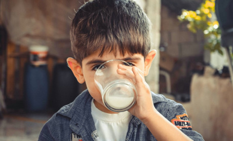 Інстуктаж для гадячан: чому небезпечно купувати молоко із асфальту