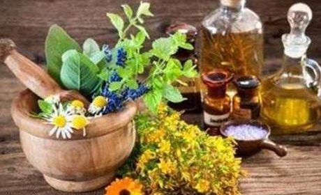 Народні засоби захисту рослин