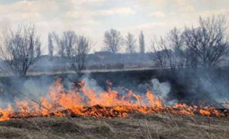 У Старокостянтинові горіла суха трава: рятувальники та екологи попереджають про небезпеку та штрафи