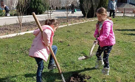 Вихованці недільної школи Собору Святих Землі Української ПЦУ біля храму посадили магнолію