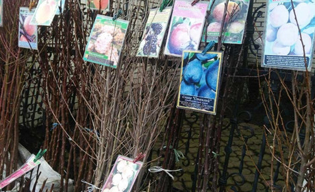 Кабмін розширив перелік дозволених видів підприємницької діяльності у "червоній" зоні карантину