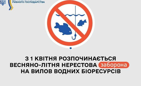 З 1 квітня у більшості водойм триває весняно-літня нерестова заборона на вилов риби