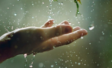 Погода в Кагарлику та Ржищеві з 12 по 18 квітня