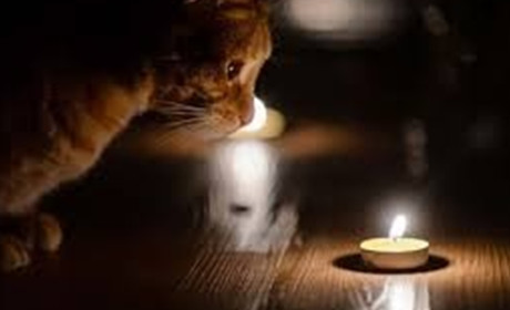 Графік планових відключень електроенергії Кіцманським РЕМом 13-30 квітня