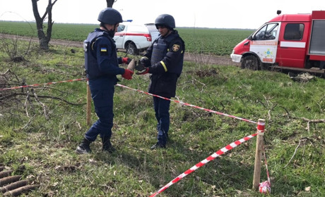 Поблизу Нижніх Торгаїв місцеві жителі виявили небезпечну знахідку: довелося викликати піротехніків