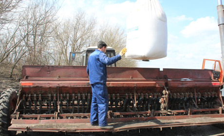 У фермерському господарстві "Агротранс" культивують площі під посів кукурудзи та соняшника