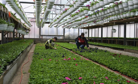 Неможливого немає нічого: Володимир Рослик від хобі до сімейного бізнесу