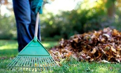Прибирали «Буркут», садили ялинки на ділянці «Рахівського тризуба», очистили берег Тиси