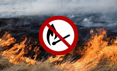 Значно зросли штрафи за підпал сухої трави чи спричинення пожежі в лісі