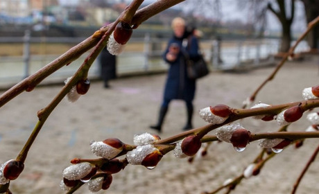 На Гадяччині цього тижня дощитиме, гримітимуть грози