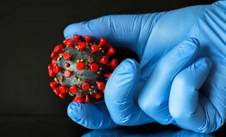 Коли епідемія COVID-19 в Україні повинна піти на спад: прогноз імунолога