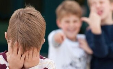 Булінг у гімназії №3: суд оштрафував батька двійнят-п'ятикласників, які “кошмарили” інших дітей