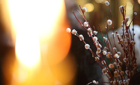 Освячення верби та хрестів на куполи храму Петра Калнишевського: де відбудуться обряди