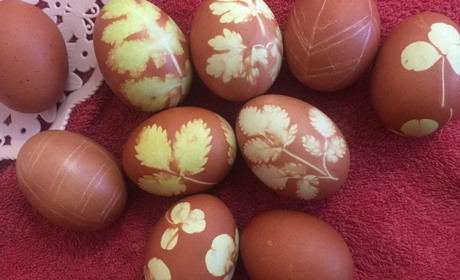 Готуємося до Пасхи: майстер-клас із виготовлення писанки