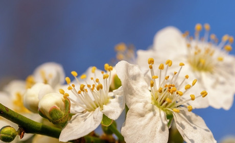 Погода на 26 квітня - 2 травня: чи потепліє на Великдень