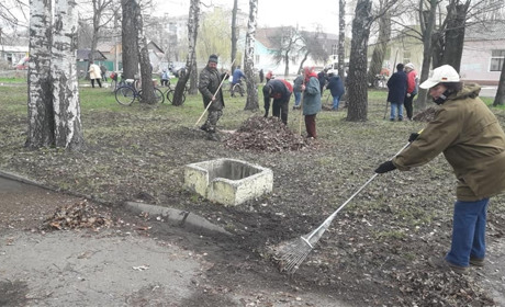 На Корюківщині ветерани посадили сьомий гектар лісу і суниці в парку біля літака