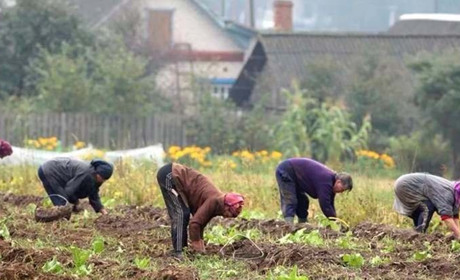 Розклад руху автобусів до садово-городніх масивів