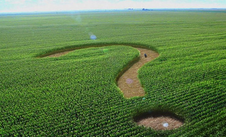 Ринок землі в Україні запустять з 1 липня: хто і як зможе купити - роз'яснення Міністерства юстиції