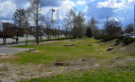 У Корюківці висадили майже сотню каштанів і лип