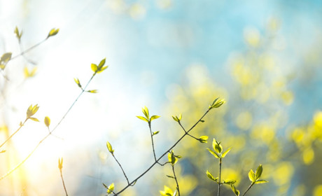 Якою буде погода на Кагарличчині та Ржищівщині 1 і 2 травня